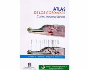 Atlas de los cordados. Cortes macroscópicos