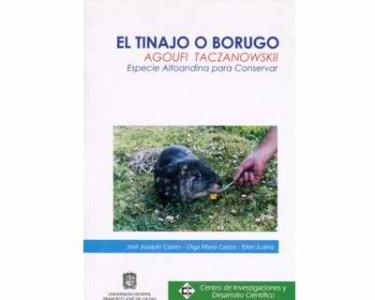 El tinajo o borugo (agoufi taczanowskii)
