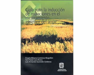 Guía para la inducción de mutaciones en el mejoramiento genético del arroz (Oryza sativa L.)