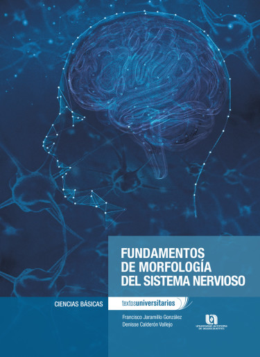 Fundamentos de morfología del sistema nervioso