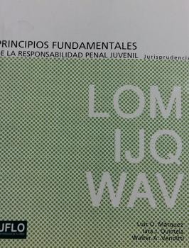 Principios fundamentales de la responsabilidad penal juvenil