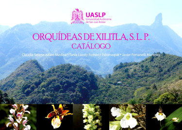 Orquídeas de Xilitla, S.L.P.