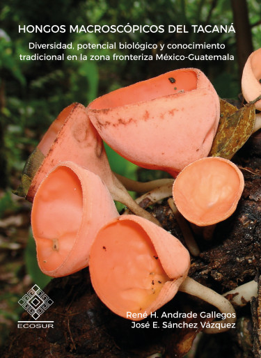 Hongos macroscópicos del Tacaná