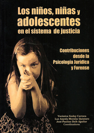 Los niños, niñas y adolescentes en el sistema de justicia: