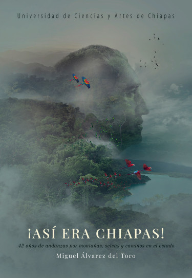 ¡Así era Chiapas!